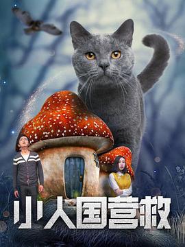 国产精品久久久久久久久久新婚