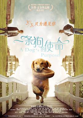 大学生的出差服务
